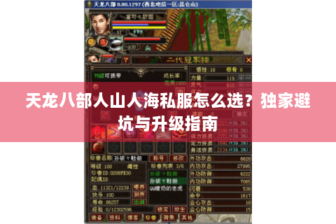 天龙八部人山人海私服怎么选？独家避坑与升级指南