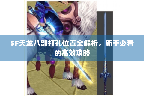 SF天龙八部打孔位置全解析，新手必看的高效攻略