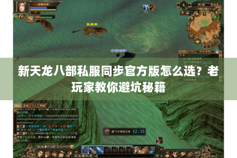 新天龙八部私服同步官方版怎么选?老玩家教你避坑秘籍 新天龙八部私服同步官方版怎么选?老玩家教你避坑秘籍