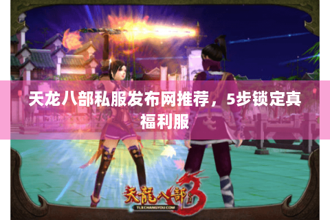 天龙八部私服发布网推荐,5步锁定真福利服 天龙八部私服发布网推荐,5步锁定真福利服