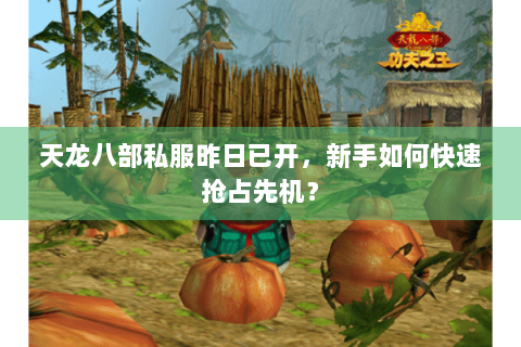 天龙八部私服昨日已开，新手如何快速抢占先机？