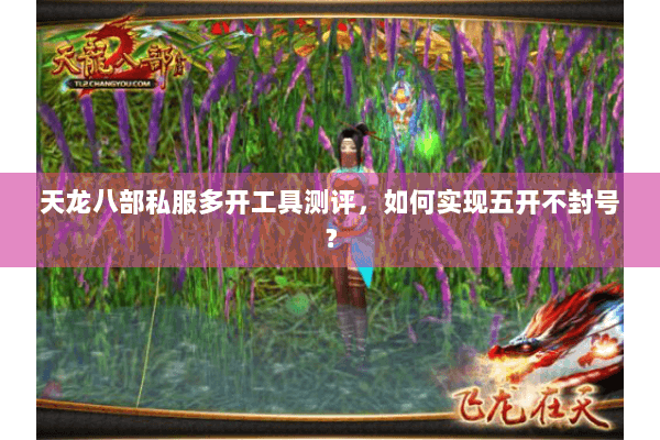 天龙八部私服多开工具测评，如何实现五开不封号？