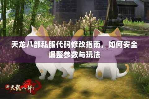 天龙八部私服代码修改指南,如何安全调整参数与玩法 天龙八部私服代码修改指南,如何安全调整参数与玩法