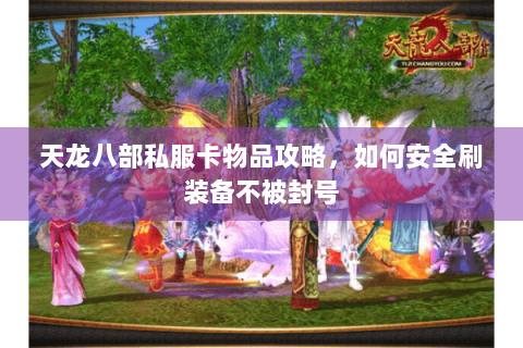 天龙八部私服卡物品攻略,如何安全刷装备不被封号 天龙八部私服卡物品攻略,如何安全刷装备不被封号