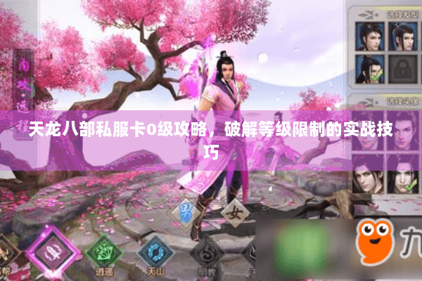 天龙八部私服卡0级攻略，破解等级限制的实战技巧