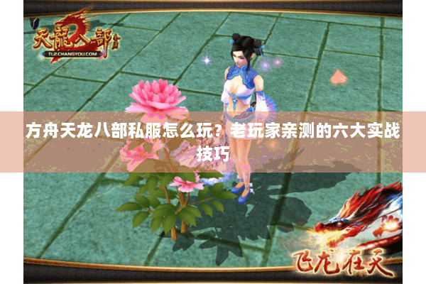 方舟天龙八部私服怎么玩？老玩家亲测的六大实战技巧