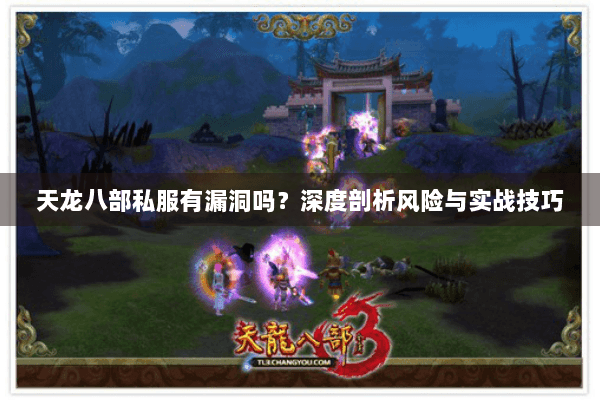 天龙八部私服有漏洞吗?深度剖析风险与实战技巧 天龙八部私服有漏洞吗?深度剖析风险与实战技巧