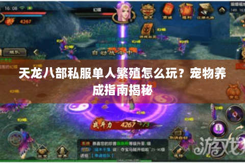 天龙八部私服单人繁殖怎么玩?宠物养成指南揭秘 天龙八部私服单人繁殖怎么玩?宠物养成指南揭秘