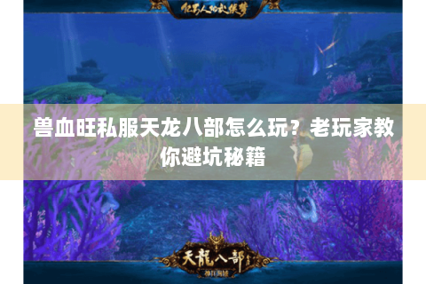 兽血旺私服天龙八部怎么玩？老玩家教你避坑秘籍