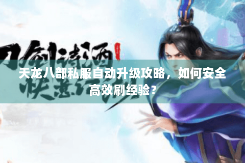 天龙八部私服自动升级攻略,如何安全高效刷经验? 天龙八部私服自动升级攻略,如何安全高效刷经验?