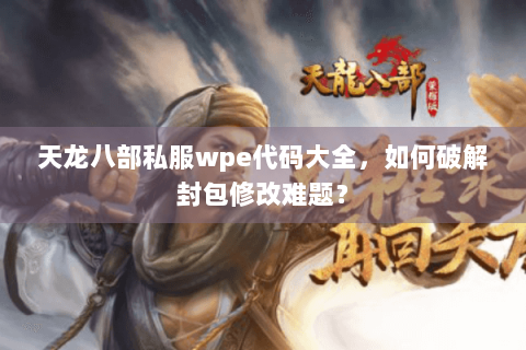 天龙八部私服wpe代码大全，如何破解封包修改难题？