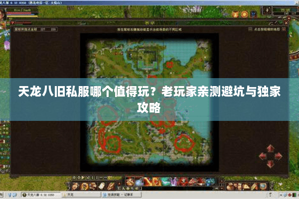 天龙八旧私服哪个值得玩？老玩家亲测避坑与独家攻略