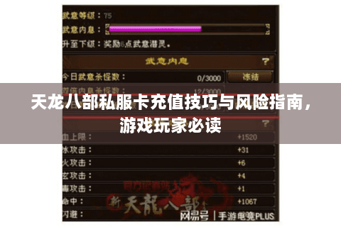 天龙八部私服卡充值技巧与风险指南,游戏玩家必读 天龙八部私服卡充值技巧与风险指南,游戏玩家必读