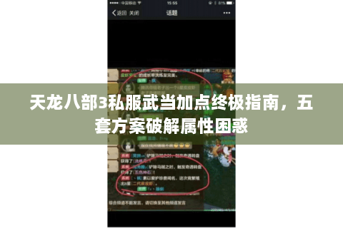 天龙八部3私服武当加点终极指南，五套方案破解属性困惑