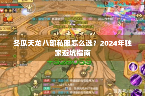 冬瓜天龙八部私服怎么选？2024年独家避坑指南