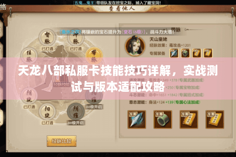天龙八部私服卡技能技巧详解,实战测试与版本适配攻略 天龙八部私服卡技能技巧详解,实战测试与版本适配攻略