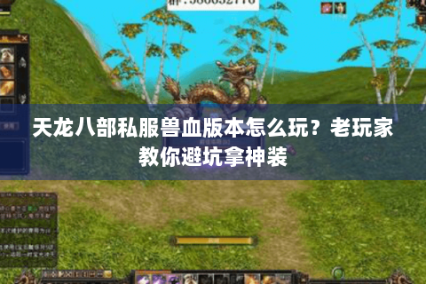 天龙八部私服兽血版本怎么玩?老玩家教你避坑拿神装 天龙八部私服兽血版本怎么玩?老玩家教你避坑拿神装