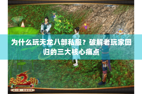 为什么玩天龙八部私服?破解老玩家回归的三大核心痛点 为什么玩天龙八部私服?破解老玩家回归的三大核心痛点