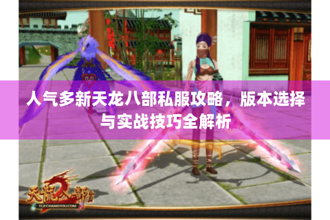 人气多新天龙八部私服攻略,版本选择与实战技巧全解析 人气多新天龙八部私服攻略,版本选择与实战技巧全解析