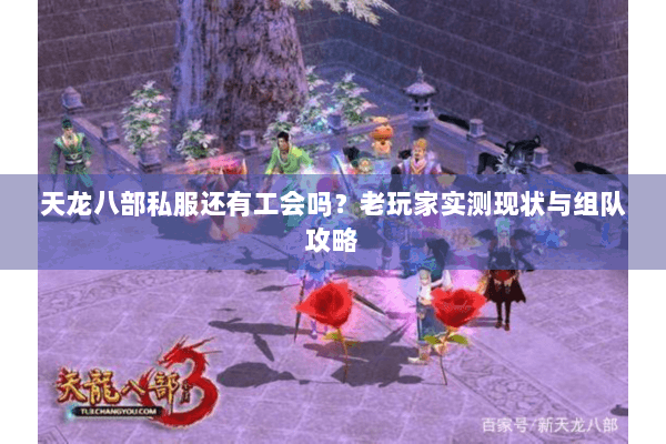 天龙八部私服还有工会吗?老玩家实测现状与组队攻略 天龙八部私服还有工会吗?老玩家实测现状与组队攻略