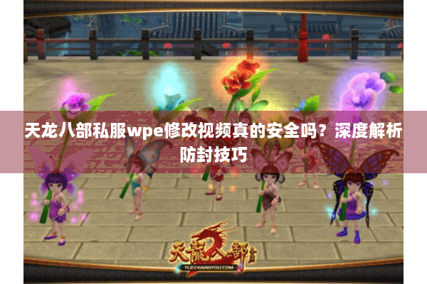 天龙八部私服wpe修改视频真的安全吗？深度解析防封技巧