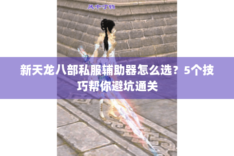 新天龙八部私服辅助器怎么选?5个技巧帮你避坑通关 新天龙八部私服辅助器怎么选?5个技巧帮你避坑通关
