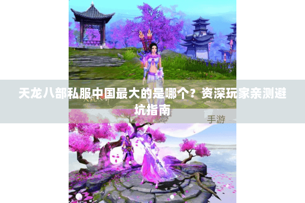 天龙八部私服中国最大的是哪个？资深玩家亲测避坑指南