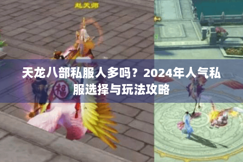 天龙八部私服人多吗?2024年人气私服选择与玩法攻略 天龙八部私服人多吗?2024年人气私服选择与玩法攻略