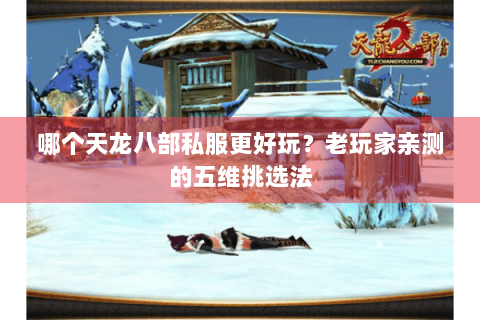 哪个天龙八部私服更好玩?老玩家亲测的五维挑选法 哪个天龙八部私服更好玩?老玩家亲测的五维挑选法