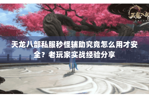 天龙八部私服秒怪辅助究竟怎么用才安全？老玩家实战经验分享