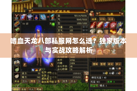 嗜血天龙八部私服网怎么选?独家版本与实战攻略解析 嗜血天龙八部私服网怎么选?独家版本与实战攻略解析