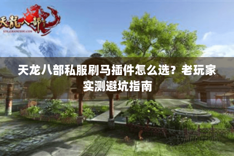 天龙八部私服刷马插件怎么选？老玩家实测避坑指南