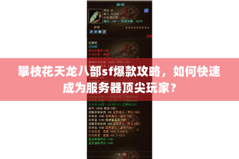 攀枝花天龙八部sf爆款攻略，如何快速成为服务器顶尖玩家？