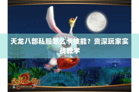 天龙八部私服怎么卡技能?资深玩家实战教学 天龙八部私服怎么卡技能?资深玩家实战教学