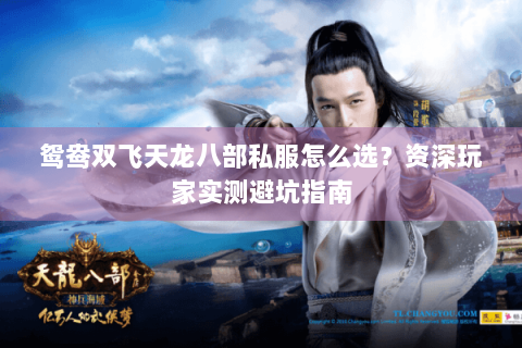 鸳鸯双飞天龙八部私服怎么选?资深玩家实测避坑指南 鸳鸯双飞天龙八部私服怎么选?资深玩家实测避坑指南