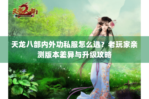 天龙八部内外功私服怎么选?老玩家亲测版本差异与升级攻略 天龙八部内外功私服怎么选?老玩家亲测版本差异与升级攻略