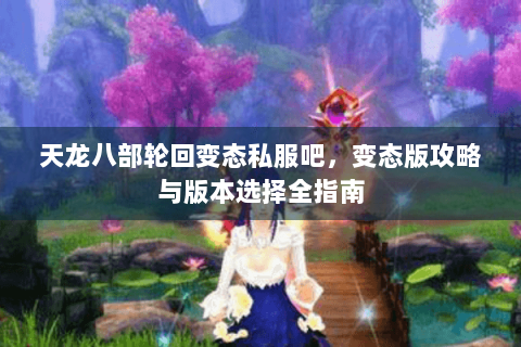 天龙八部轮回变态私服吧，变态版攻略与版本选择全指南