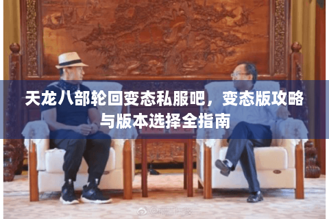 天龙八部轮回变态私服吧，变态版攻略与版本选择全指南