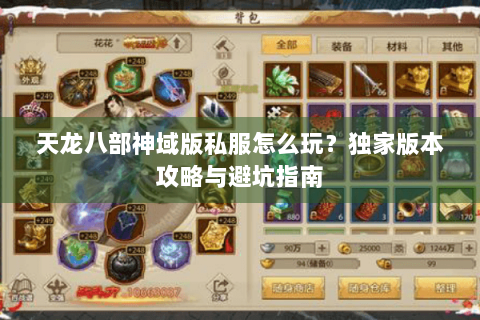 天龙八部神域版私服怎么玩？独家版本攻略与避坑指南