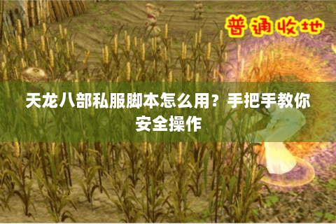 天龙八部私服脚本怎么用？手把手教你安全操作