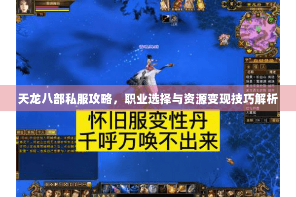 天龙八部私服攻略,职业选择与资源变现技巧解析 天龙八部私服攻略,职业选择与资源变现技巧解析