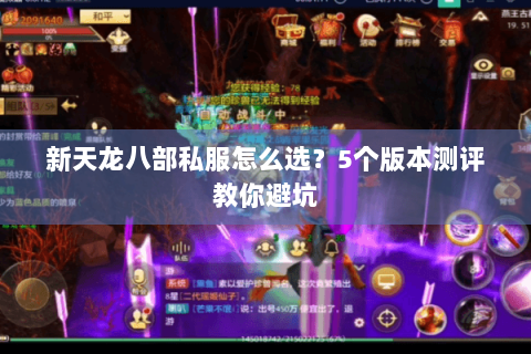 新天龙八部私服怎么选?5个版本测评教你避坑 新天龙八部私服怎么选?5个版本测评教你避坑