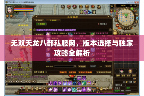 无双天龙八部私服网,版本选择与独家攻略全解析 无双天龙八部私服网,版本选择与独家攻略全解析