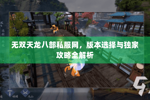 无双天龙八部私服网,版本选择与独家攻略全解析 无双天龙八部私服网,版本选择与独家攻略全解析