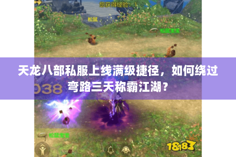 天龙八部私服上线满级捷径,如何绕过弯路三天称霸江湖? 天龙八部私服上线满级捷径,如何绕过弯路三天称霸江湖?