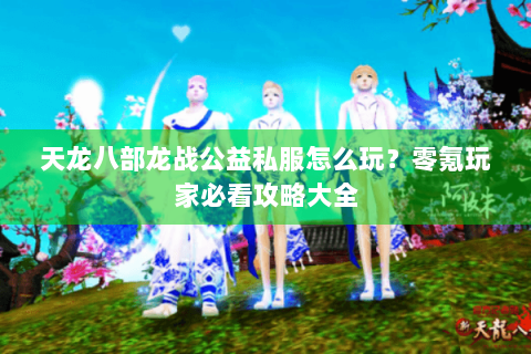 天龙八部龙战公益私服怎么玩?零氪玩家必看攻略大全 天龙八部龙战公益私服怎么玩?零氪玩家必看攻略大全