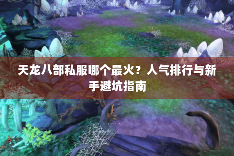 天龙八部私服哪个最火？人气排行与新手避坑指南