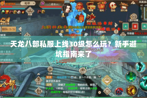 天龙八部私服上线30级怎么玩?新手避坑指南来了 天龙八部私服上线30级怎么玩?新手避坑指南来了