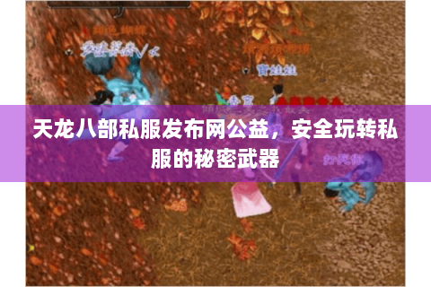 天龙八部私服发布网公益,安全玩转私服的秘密武器 天龙八部私服发布网公益,安全玩转私服的秘密武器