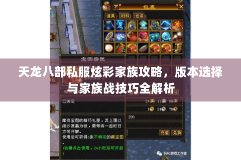天龙八部私服炫彩家族攻略,版本选择与家族战技巧全解析 天龙八部私服炫彩家族攻略,版本选择与家族战技巧全解析